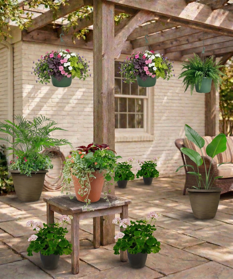 Outdoor patio scene with  pre-planted container gardens including hanging baskets, floor planters with pink geraniums, green foliage, illustrating the Instant Patio Package.