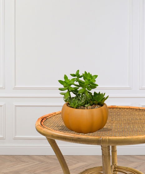 Pumpkin-shaped ceramic planter with assorted green succulents on a woven tabletop – fall arrangement by Billy Heroman’s