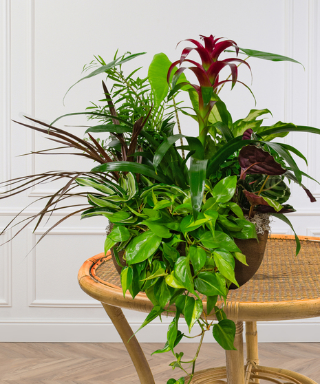 European Garden in Resin Container
