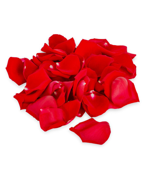 Bag of Picked Rose Petals Any Color Delivered in Baton Rouge, LA - Billy  Heroman's