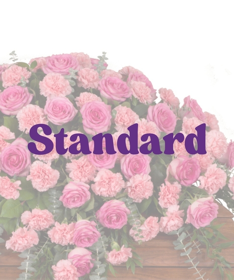 Roses & Carnations Casket Cover with pink roses and pink carnations displayed on a wooden casket