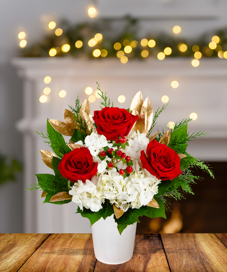 Claus's Choice red and white Christmas flower arrangement with red roses, white hydrangeas, red berries, gilded leaves, and evergreen in a white container