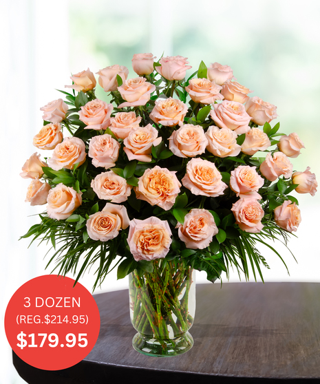 Premium Shimmer (Peach) Roses - up to 5 dozen - SALE