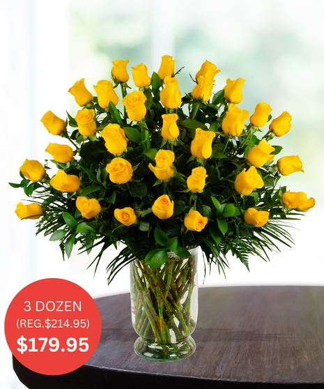 Premium Yellow Roses - up to 5 Dozen - SALE