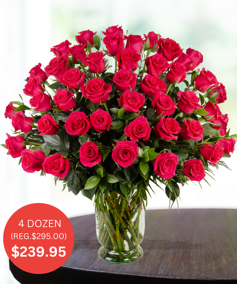 Premium Hot Pink Roses - up to 5 Dozen - SALE