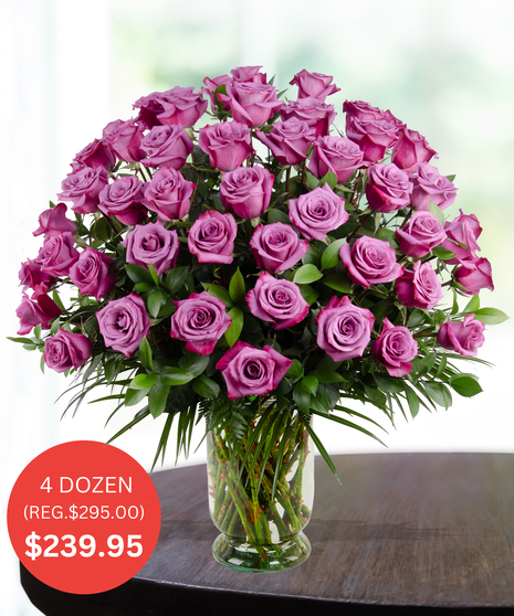Premium Purple Roses - up to 5 Dozen - SALE