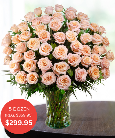 Premium pink roses delivered baton rouge LA