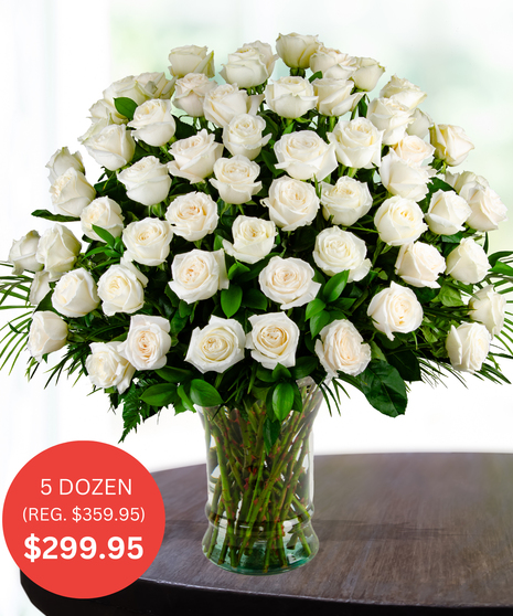 Premium White Roses - up to 5 Dozen - SALE