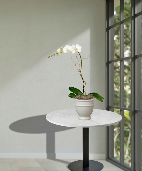 Single Orchid Planter