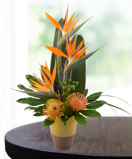 Aloha tropical flower arrangement with bird of paradise, pincushion protea, orchids, and bells of Ireland in a yellow vase