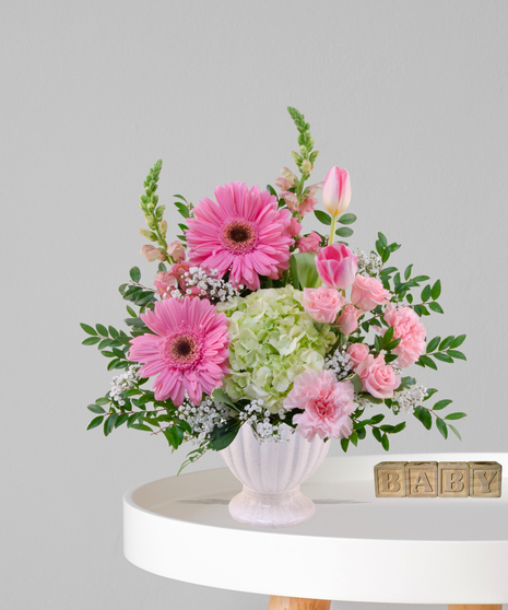 Gerbera Baby flower arrangement with pink gerbera daisies, tulips, carnations, and green hydrangea in a blush compote vase for a baby girl