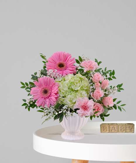 Gerbera Baby flower arrangement with pink gerbera daisies, tulips, carnations, and green hydrangea in a blush compote vase for a baby girl