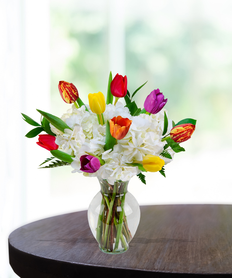 Trick-R-Tulips arrangement with colorful tulips and white hydrangeas in a clear glass vase