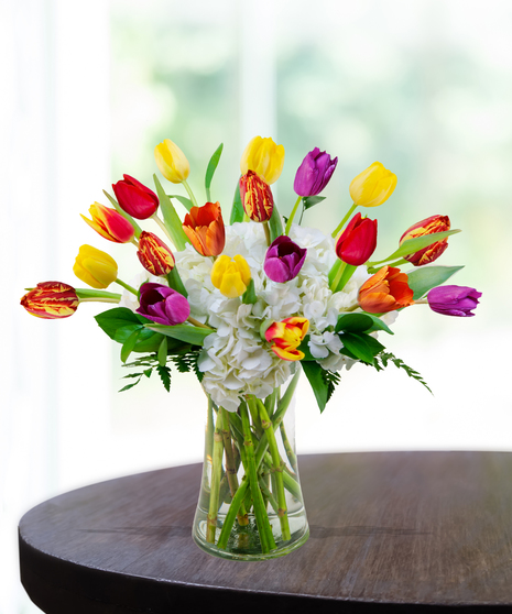 Trick-R-Tulips arrangement with colorful tulips and white hydrangeas in a clear glass vase