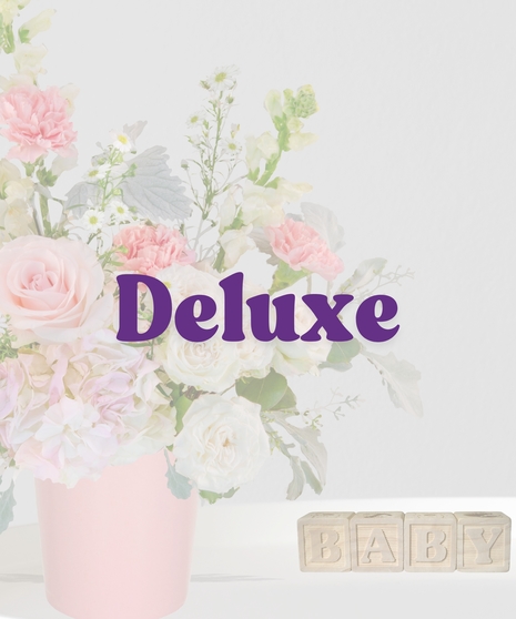 Tiny Tutus flower arrangement with pink roses, carnations, hydrangeas, and white snapdragons in a blush pink vase for baby girl