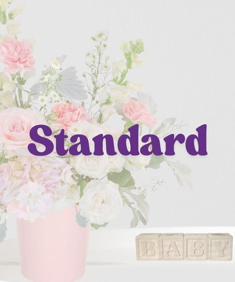 Tiny Tutus flower arrangement with pink roses, carnations, hydrangeas, and white snapdragons in a blush pink vase for baby girl