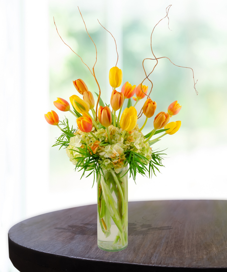 Towering Tulips flower arrangement with yellow, pink, and red tulips emerging from white hydrangeas in a tall glass vase.