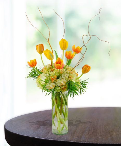 Towering Tulips flower arrangement with yellow, pink, and red tulips emerging from white hydrangeas in a tall glass vase.
