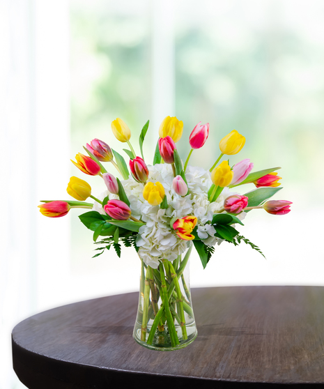 Tulip Clouds flower arrangement with yellow, pink, and red tulips emerging from white hydrangeas in a tall glass vase.
