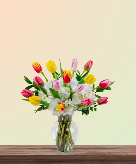 Tulip Kisses floral arrangement with pink, yellow, red, and variegated tulips and white hydrangeas in a tall glass vase – perfect for Mother’s Day.