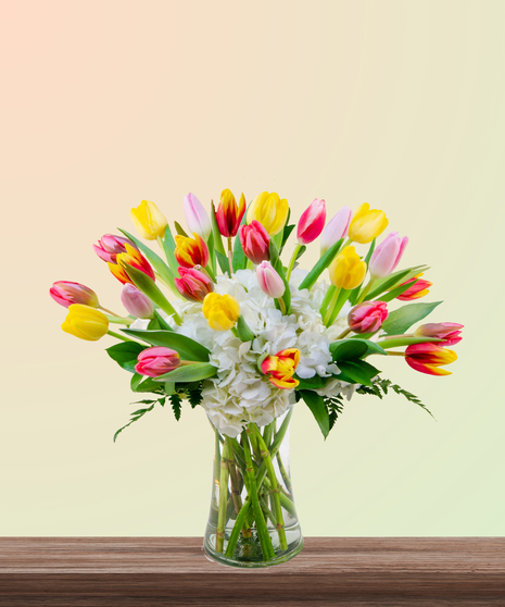 Tulip Kisses