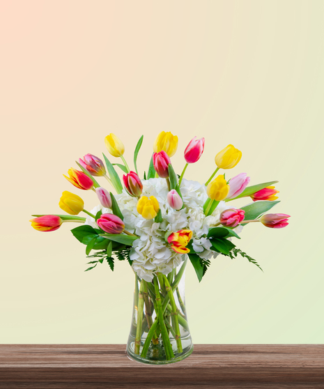 Tulip Kisses floral arrangement with pink, yellow, red, and variegated tulips and white hydrangeas in a tall glass vase – perfect for Mother’s Day.