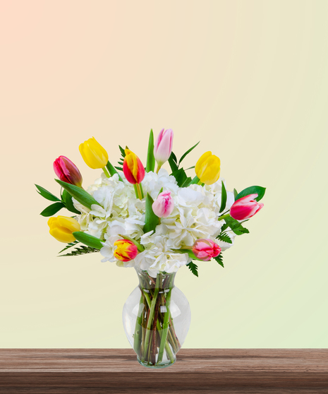 Tulip Kisses floral arrangement with pink, yellow, red, and variegated tulips and white hydrangeas in a tall glass vase – perfect for Mother’s Day.