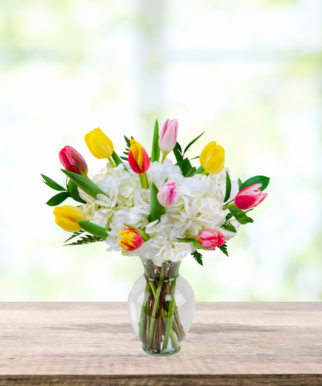 Tulips & Tails Easter floral arrangement with colorful yellow, pink, red, and variegated tulips with white hydrangeas in a tall clear vase.