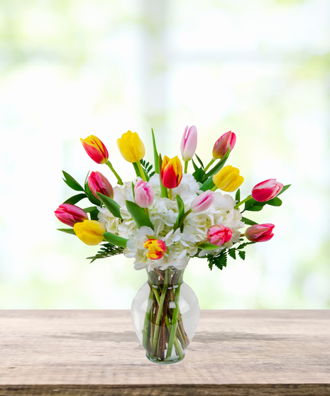 Tulips & Tails Easter floral arrangement with colorful yellow, pink, red, and variegated tulips with white hydrangeas in a tall clear vase.