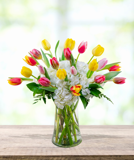 Tulips & Tails Easter floral arrangement with colorful yellow, pink, red, and variegated tulips with white hydrangeas in a tall clear vase.