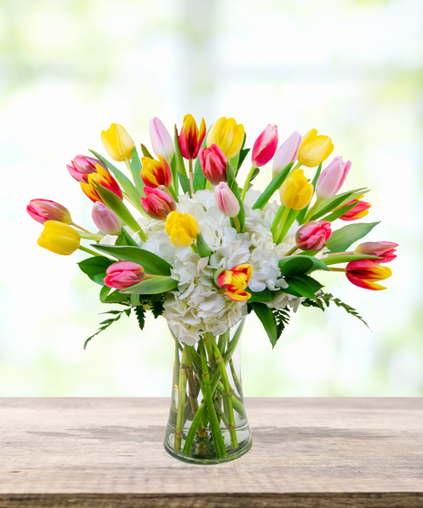 Tulips & Tails