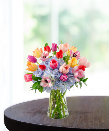 Tulip Treasures floral arrangement featuring a colorful variety of red, pink, yellow, and purple tulips mixed with blue hydrangeas in a clear glass vase.