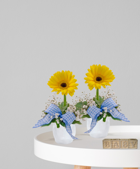 Dapper Dudes twin baby boy flower arrangements with yellow gerbera daisies, baby’s breath, and blue gingham bows in white vases