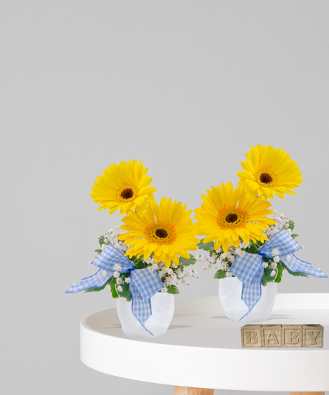 Dapper Dudes - Specially Designed for Twin Boys