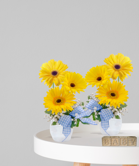 Dapper Dudes twin baby boy flower arrangements with yellow gerbera daisies, baby’s breath, and blue gingham bows in white vases