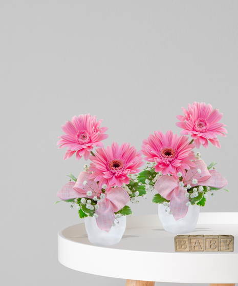 Double Darlings - Specially Designed for Twin Girls