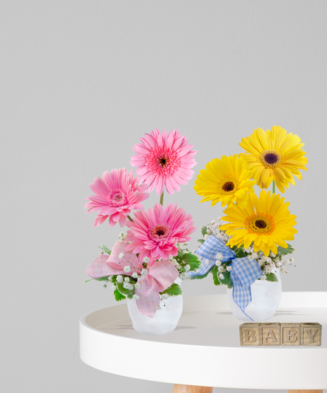 Peekaboo x2 twin baby flower arrangements with yellow and pink gerbera daisies, baby’s breath, and gingham ribbon in white vases