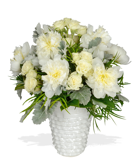 Peony Dreams.