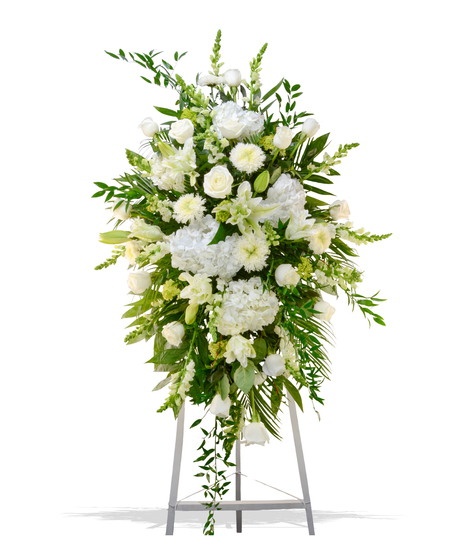 Sympathy For The Casket