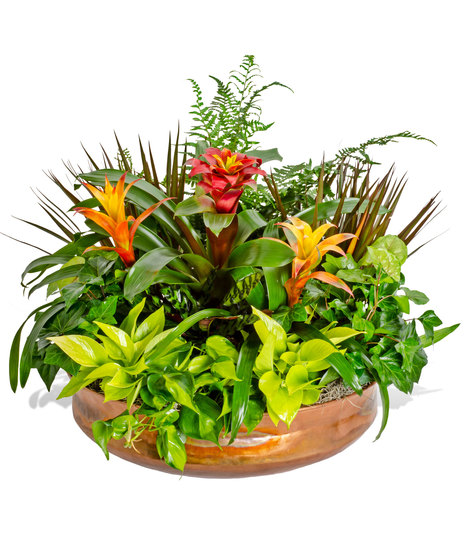 European Garden in Copper Pot