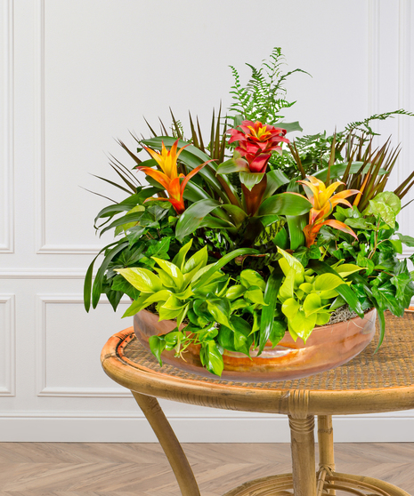European Garden in Copper Pot