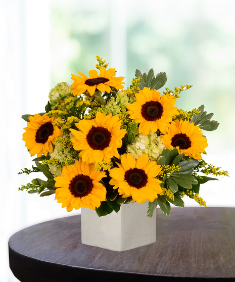 You Are My Sunshine