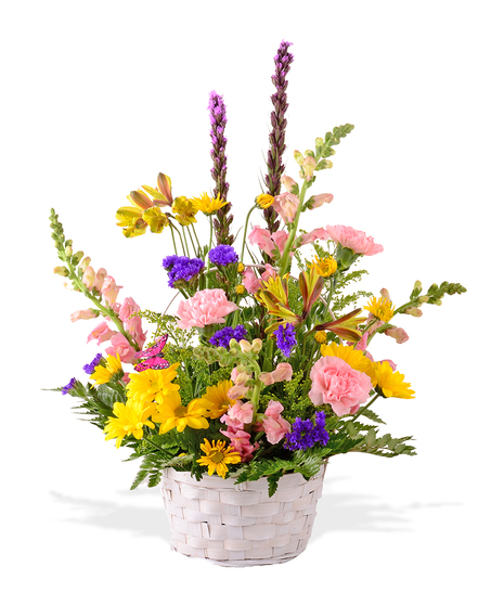 Butterfly Easter basket delivered Baton Rouge, LA