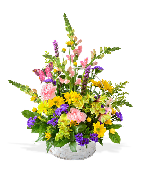 Butterfly Basket