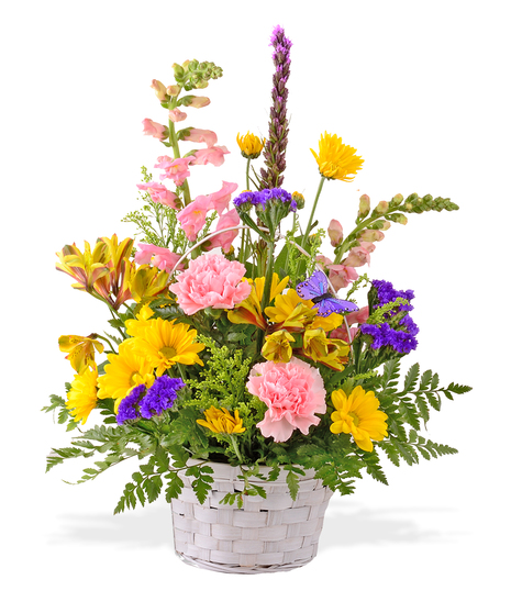 Butterfly Easter basket delivered Baton Rouge, LA