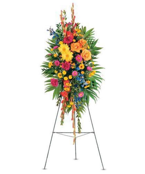 Celebration of Life