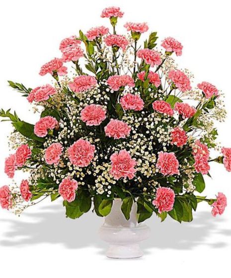 Carnation Funeral Design