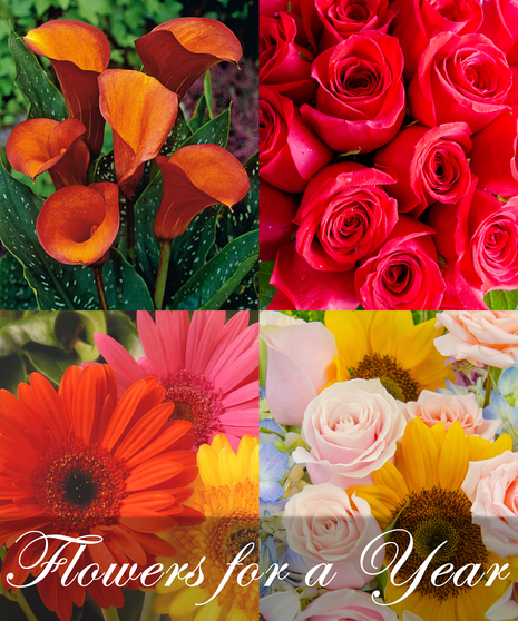 Flowers for a Year