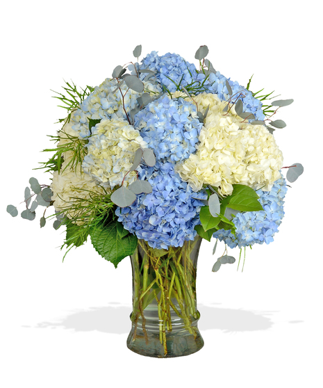Blue and White Happy Hydrangeas Arrangement - Baton Rouge