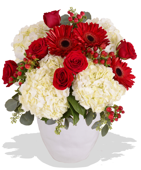 red roses gerbera daisies white hydrangea in a white vase